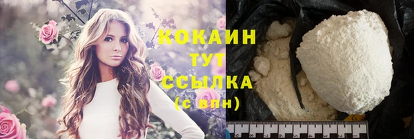 винт Куйбышев